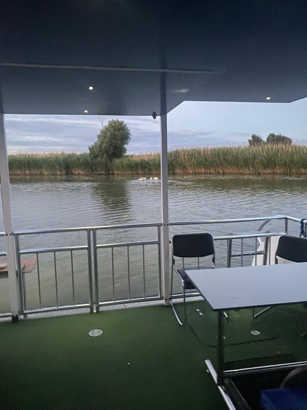 Delta Queen - House Boat - up to 12 people can sleep in separate room - Imagen 6