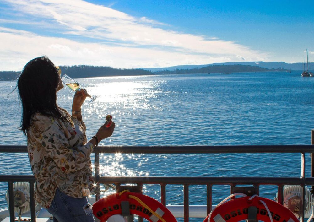 2-hour Oslofjord Sightseeing Cruise - Image 14