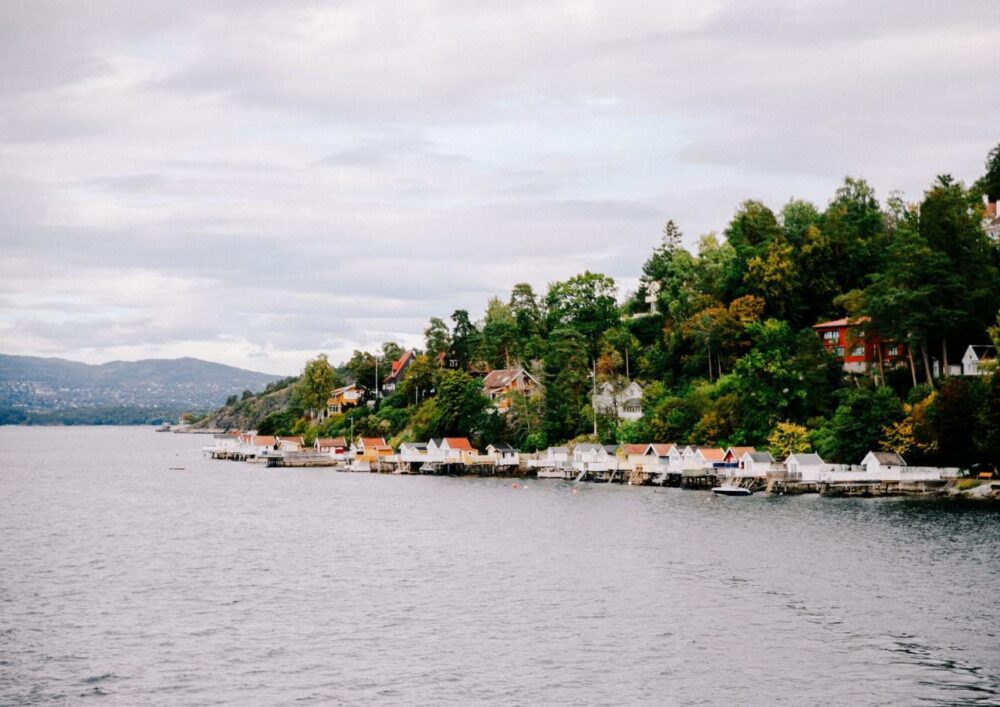 2-hour Oslofjord Sightseeing Cruise - Image 13