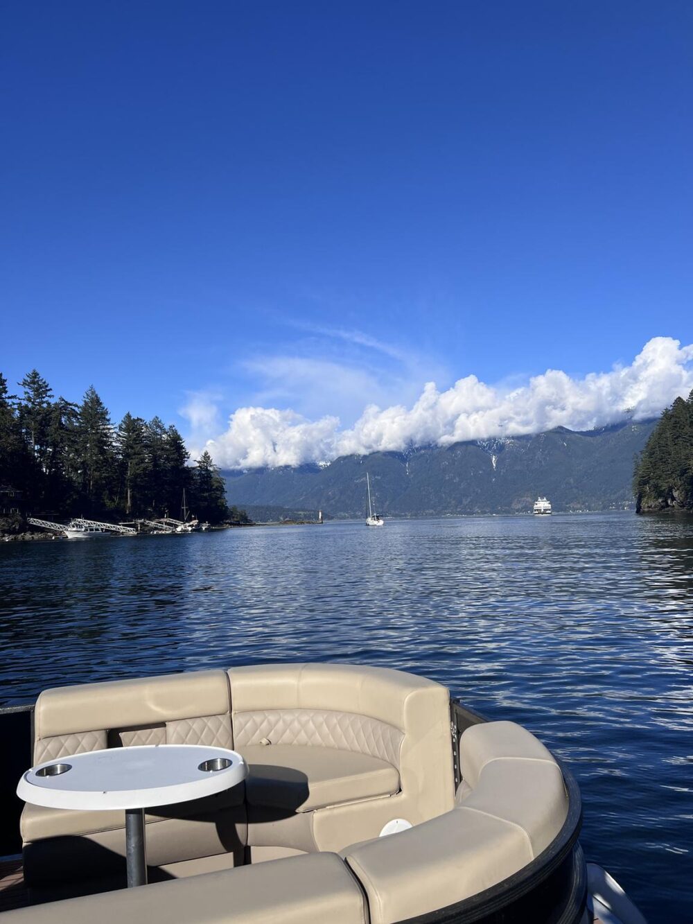 Vancouver BBQ Boat Rental - Luxury 8-Person Party Pontoon Experience in False Creek - Imagen 6
