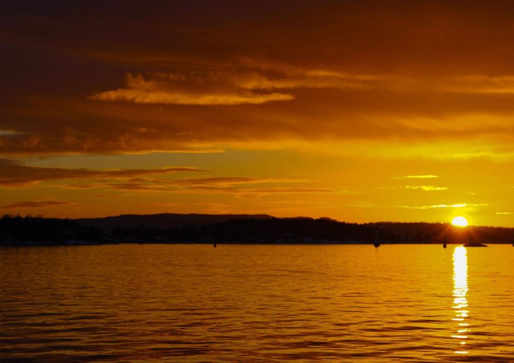 2-hour Oslofjord Sightseeing Cruise - Image 12