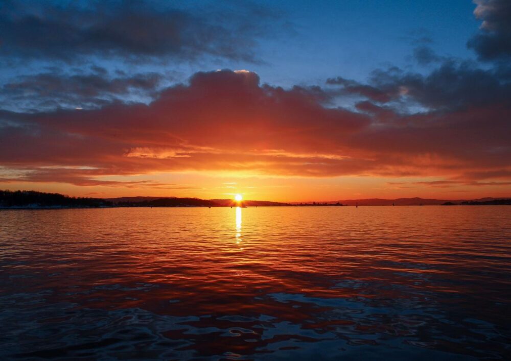 2-hour Oslofjord Sightseeing Cruise - Image 11