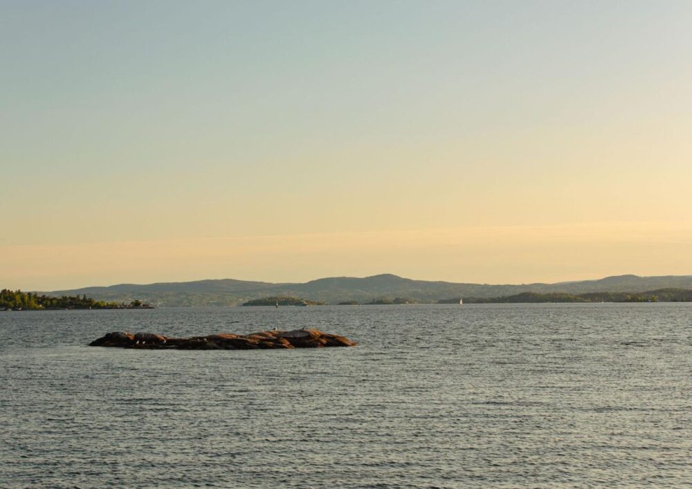 2-hour Oslofjord Sightseeing Cruise - Image 9