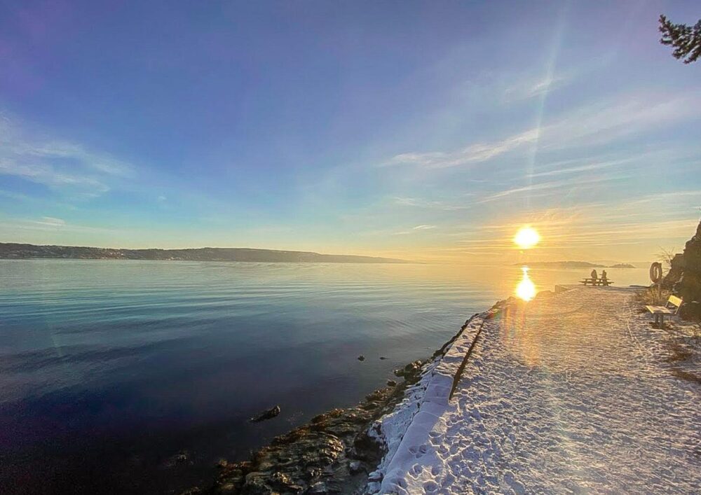 2-hour Oslofjord Sightseeing Cruise - Image 8