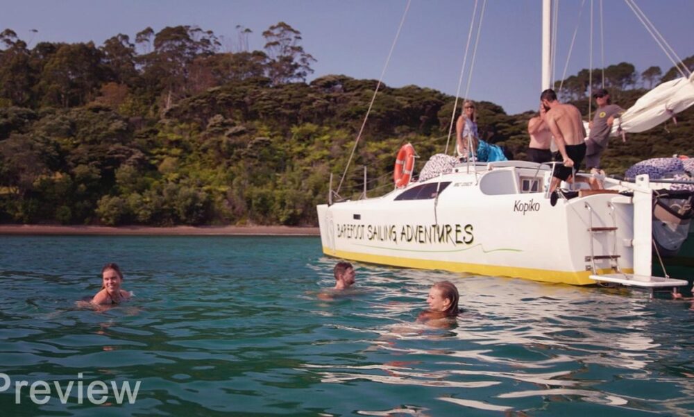 Barefoot Sailing Adventures: Bay of Islands Catamaran Cruises & Evening Tours - Image 13