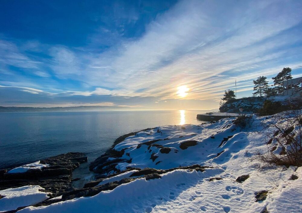 2-hour Oslofjord Sightseeing Cruise - Image 4