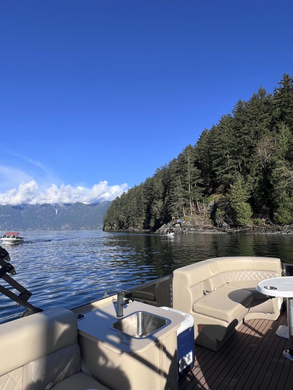 Vancouver Party Boat: BBQ Pontoon Experience in Downtown Harbor - Imagen 14