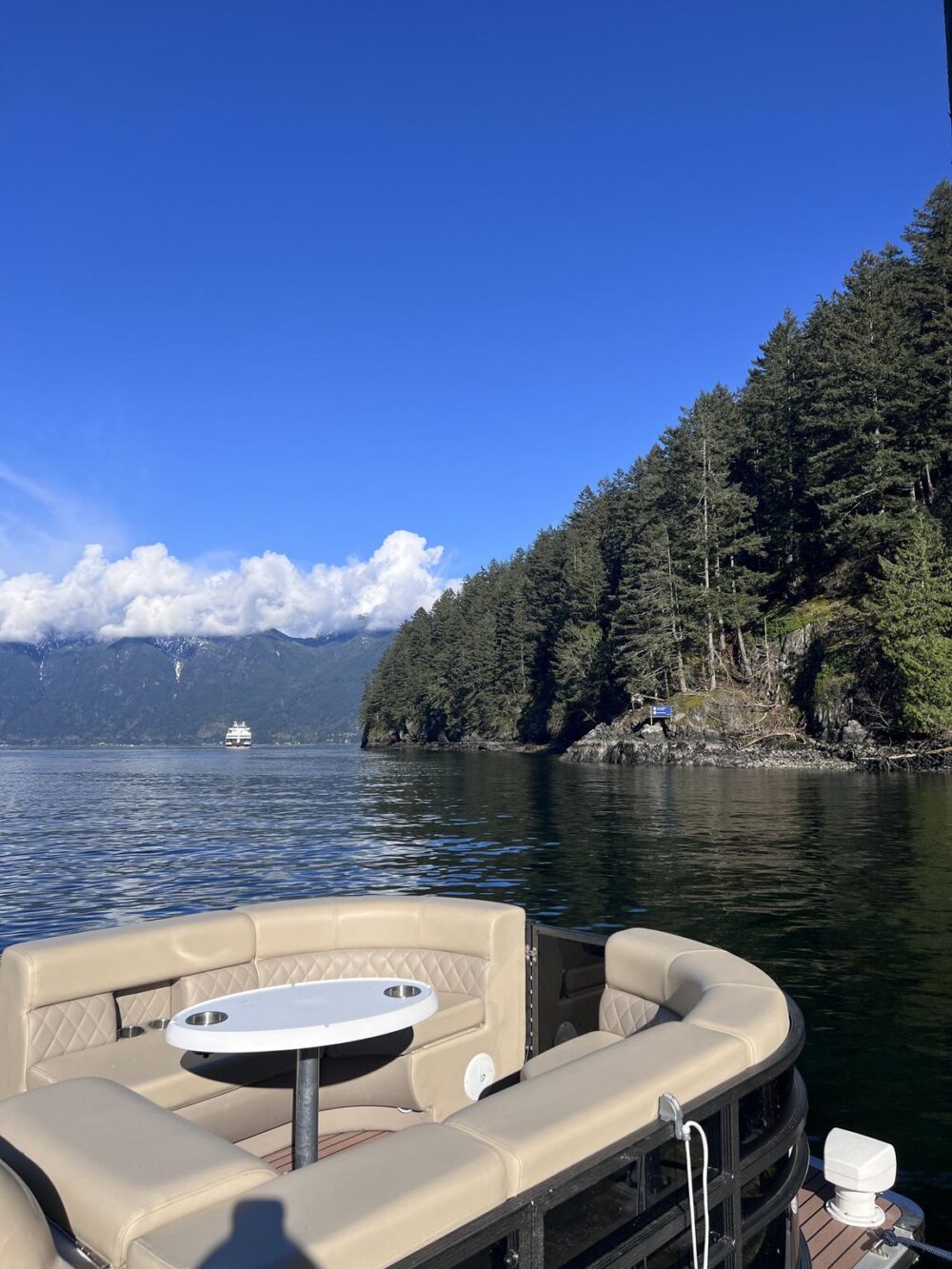 Vancouver Party Boat: BBQ Pontoon Experience in Downtown Harbor - Imagen 13