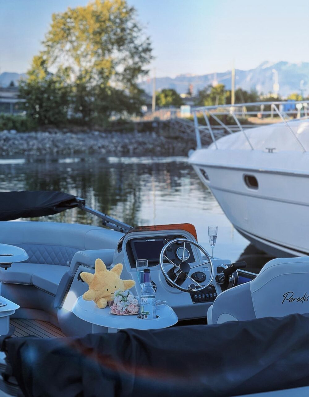 Vancouver Party Boat: BBQ Pontoon Experience in Downtown Harbor - Imagen 6