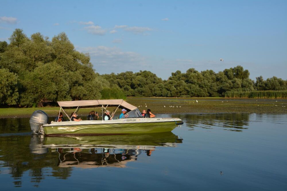 GRIFFIN LORD - BOWRIDDER boat - 12 people group tour or private tours - Imagen 3
