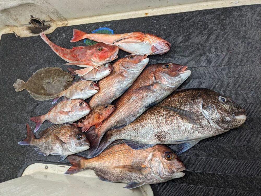 Wonderful Private Fishing Charter in Osaka Bay!! - Image 3