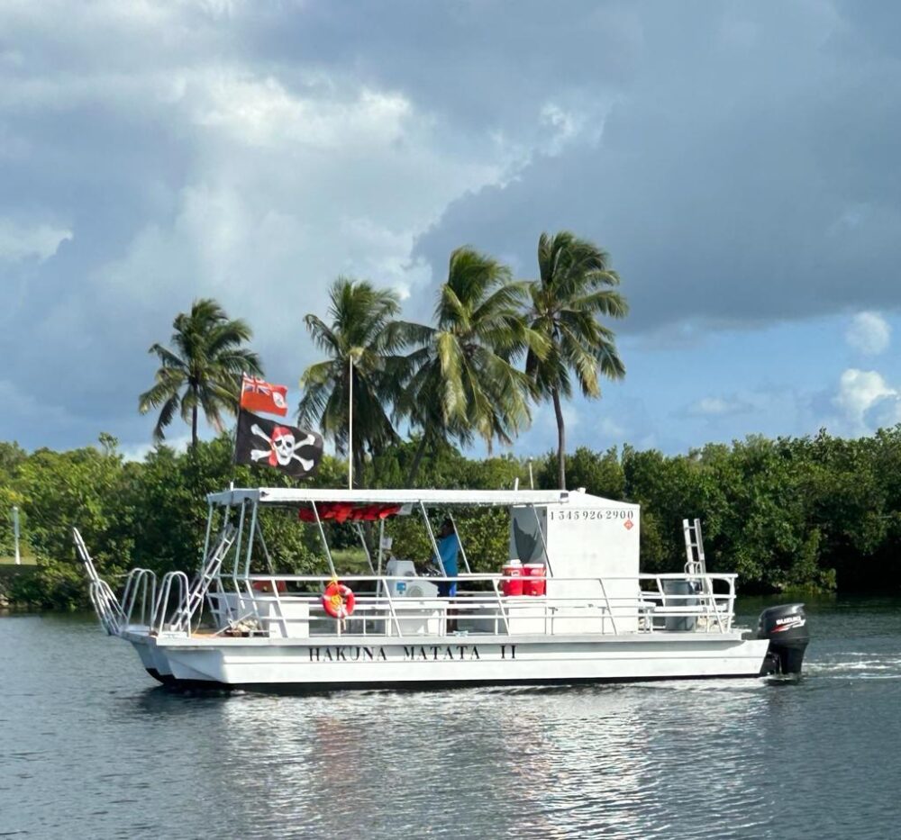 Charter with captain Bibi in Grand Cayman (bigger capacity boat) - Image 4