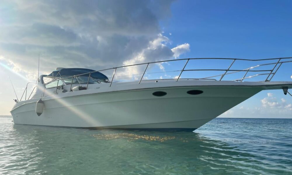 40 ft Searay Sundancer in Grand Cayman - Image 2