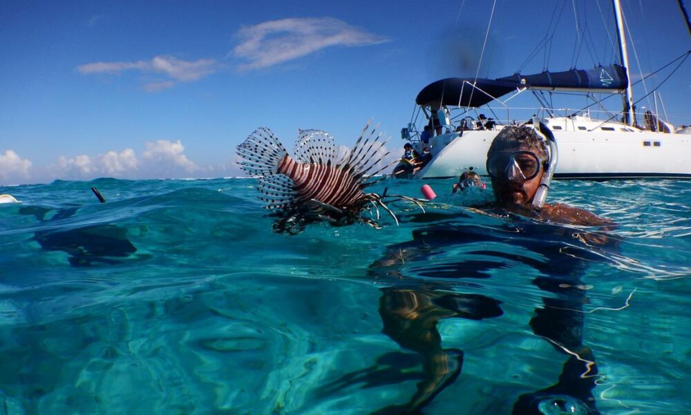 Private Luxury Sailing Charter in Grand Cayman - Stingray City & Reef Exploration - Imagen 4