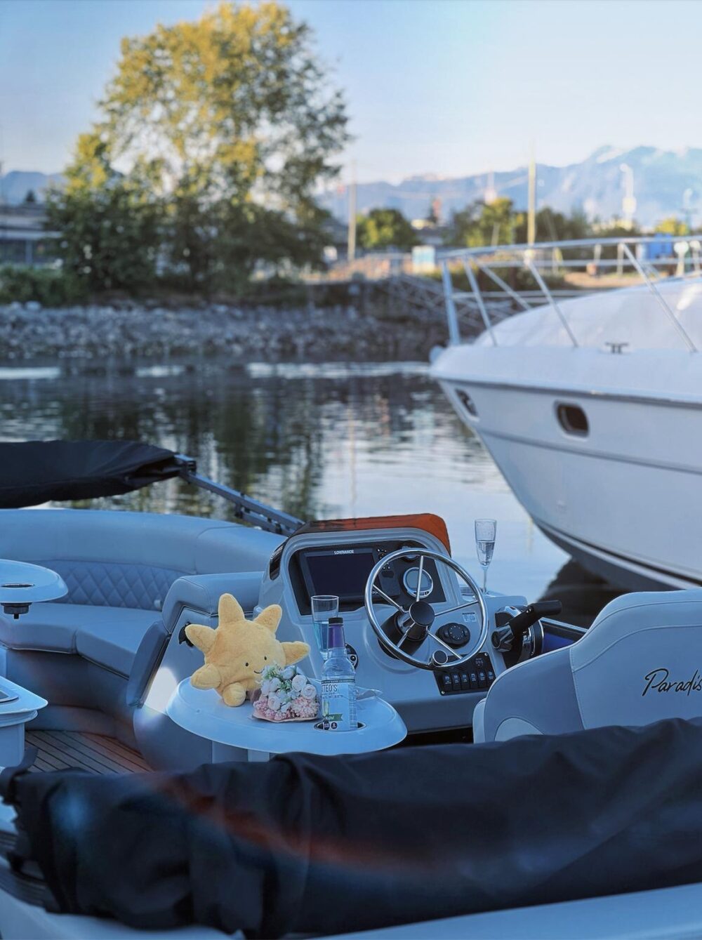 Vancouver BBQ Boat Rental - Luxury 8-Person Party Pontoon Experience in False Creek - Imagen 7