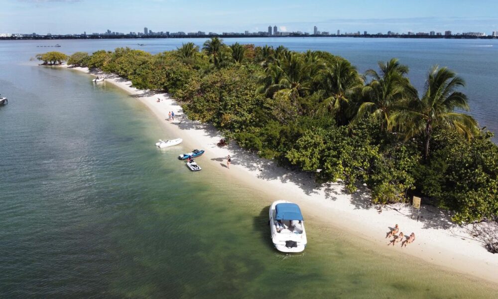 Rent a 26' Sea Ray Sundeck in Miami - 5 Identical Boats with Captain & Weekday Discounts - Imagen 24