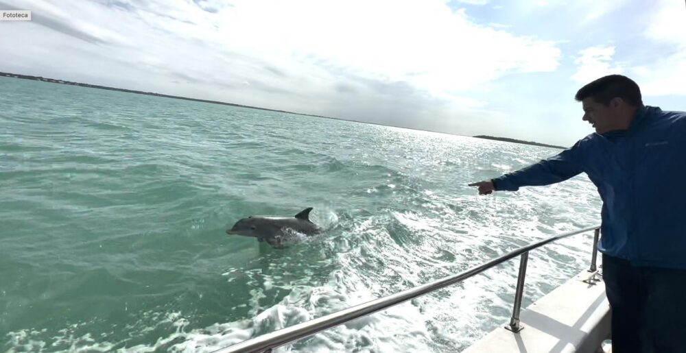 Celebrate with Yacht Party & Sightseeing in Miami Beach — up to 34 Guests! - Imagen 15
