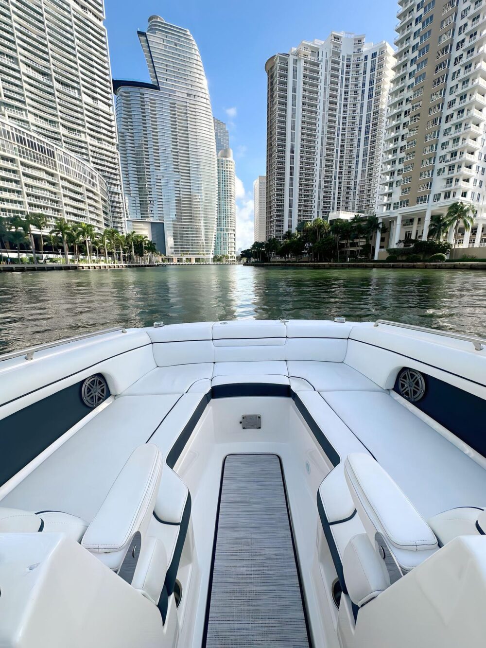 Miami Party Boat Rental: 29' SeaRay SDX with Captain & Sandbar Tours - Imagen 4