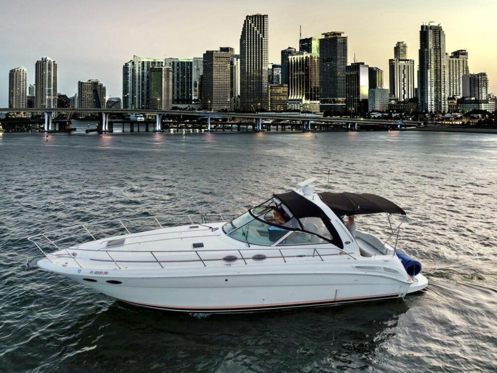 🌊Cruise & Save – 1 Free Hour or FREE Jetski from Monday to Thursday!🏄‍♀ - Imagen 2