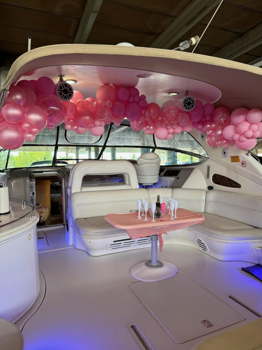Sea Ray 60' Private Yacht! Get 1 Hr Free Monday-thursday 13 Passengers Max - Image 5