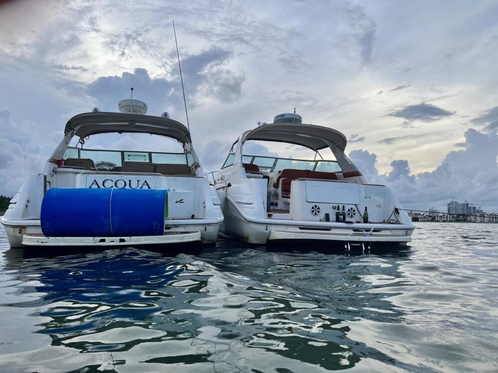 34' Sea Ray Yacht Charter in Miami Mon-Thur 1 hr free after 3 hrs booked - Imagen 2