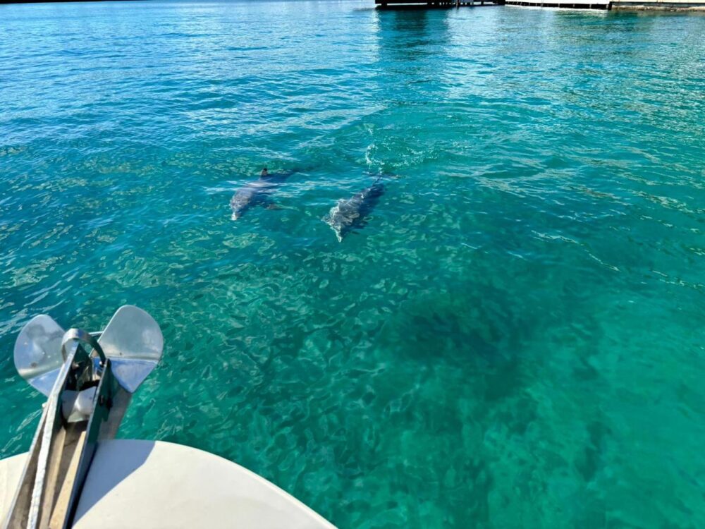 Luxury Miami Sundeck Party Boat Experience | Sea Ray 30' with Free Hour Promotion - Imagen 17
