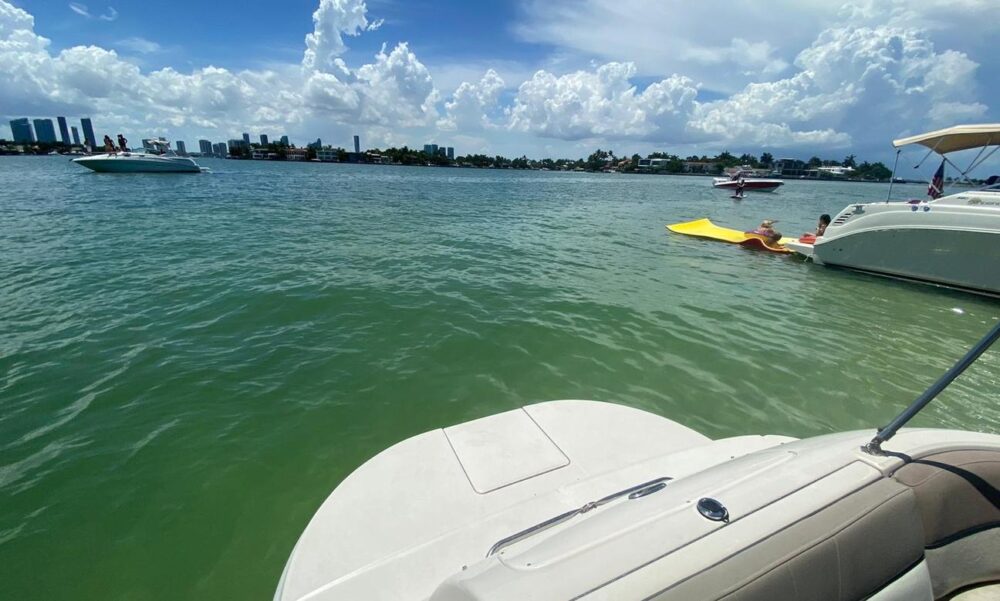 Experience the 26' Sea Ray in Miami! - Image 4