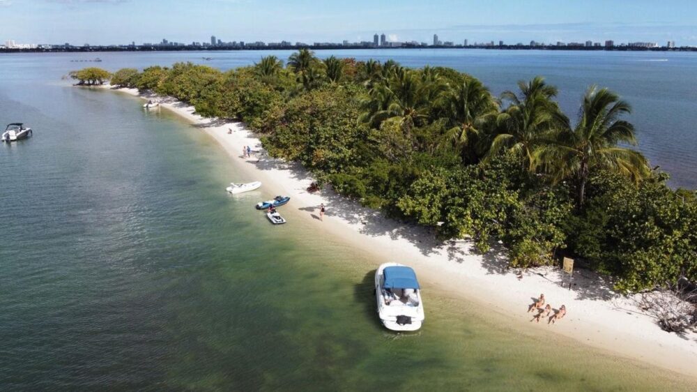 26' Sea Ray Sundeck in Miami! Huge Weekday Discounts - Imagen 5