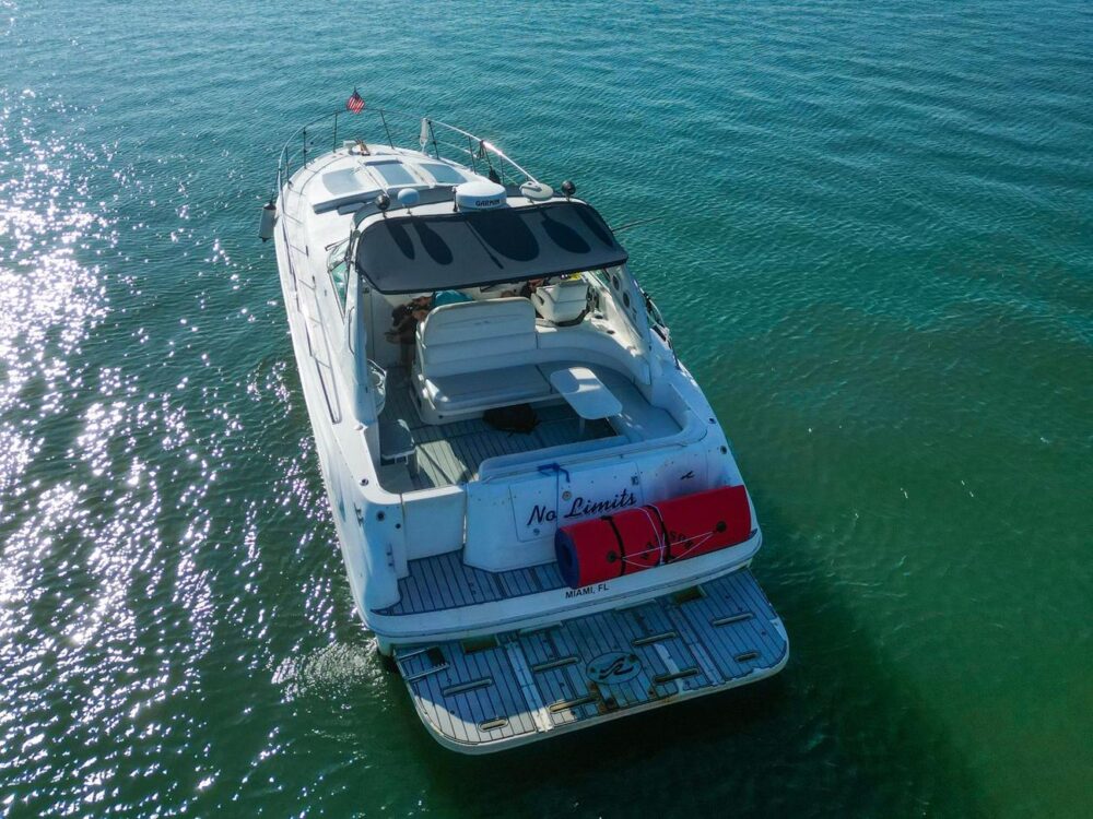 Enjoy Miami In Sundancer 44ft Motor Yacht!!! - Imagen 2