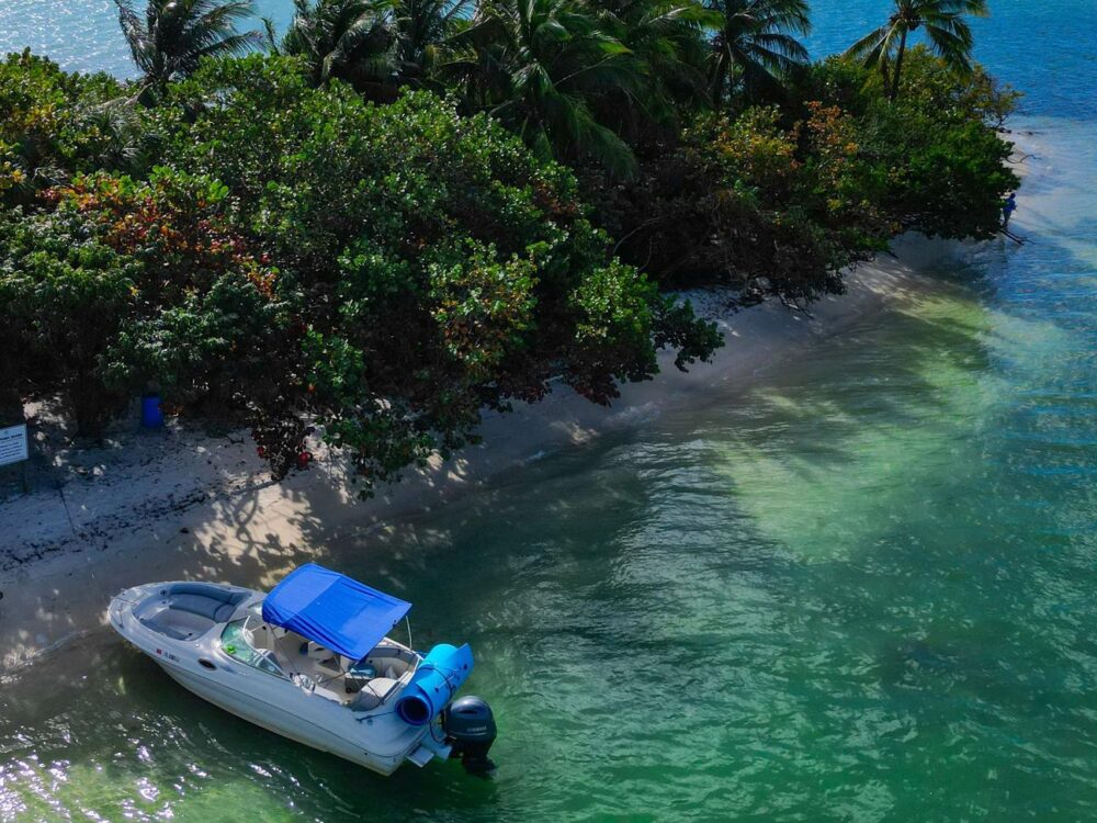 Luxury Sea Ray Sundeck Fleet: 7 Identical 26' Boats for Miami Beach Adventures - Imagen 7