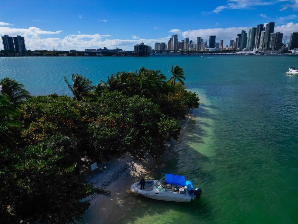 Luxury Sea Ray Sundeck Fleet: 7 Identical 26' Boats for Miami Beach Adventures - Imagen 5