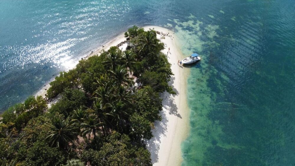 Luxury Sea Ray Sundeck Fleet: 7 Identical 26' Boats for Miami Beach Adventures - Imagen 4
