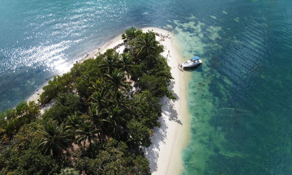 Rent a 26' Sea Ray Sundeck in Miami - 5 Identical Boats with Captain & Weekday Discounts - Imagen 2