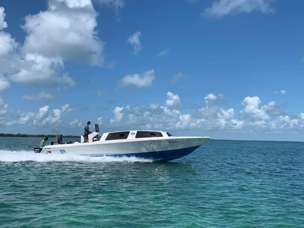 Aventura privada de día completo | Yate sedán de 38 pies en Belice