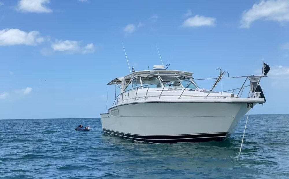 TIARA 43