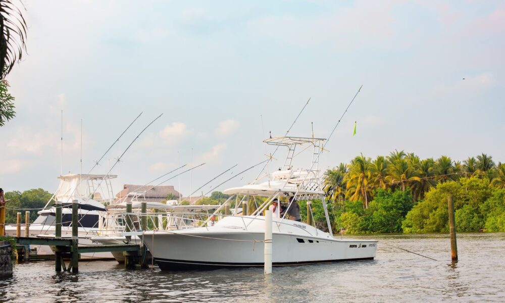 Puerto Quetzal Fishing Charters: Deep Sea Sport Fishing in Guatemala's Premier Waters - Image 2