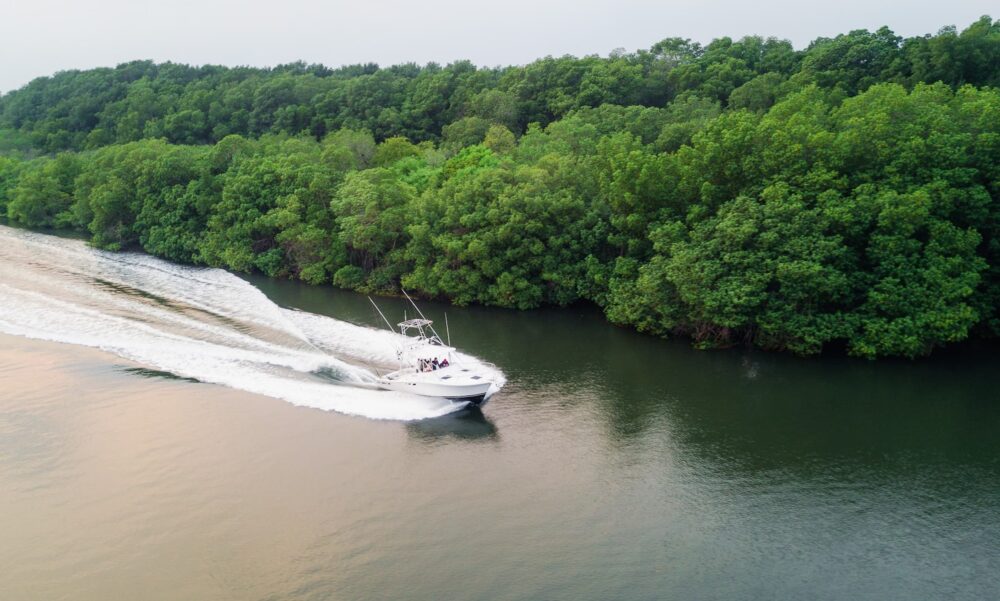 Puerto Quetzal Fishing Charters: Deep Sea Sport Fishing in Guatemala's Premier Waters - Image 3