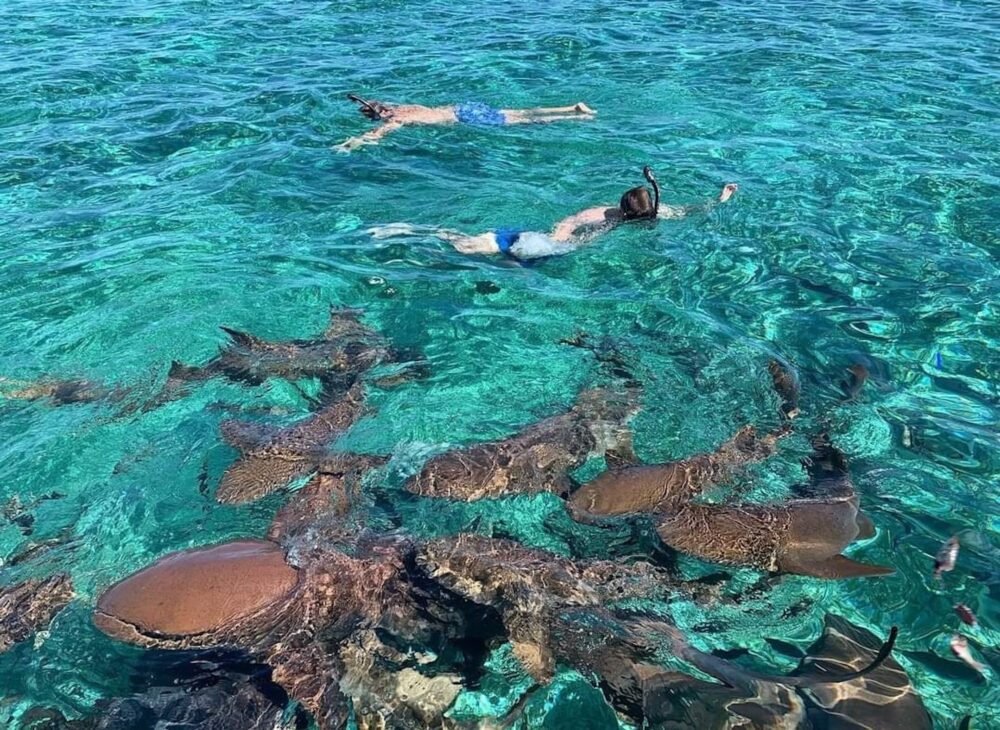 Aventura privada de día completo | Yate sedán de 38 pies en Belice - Image 4