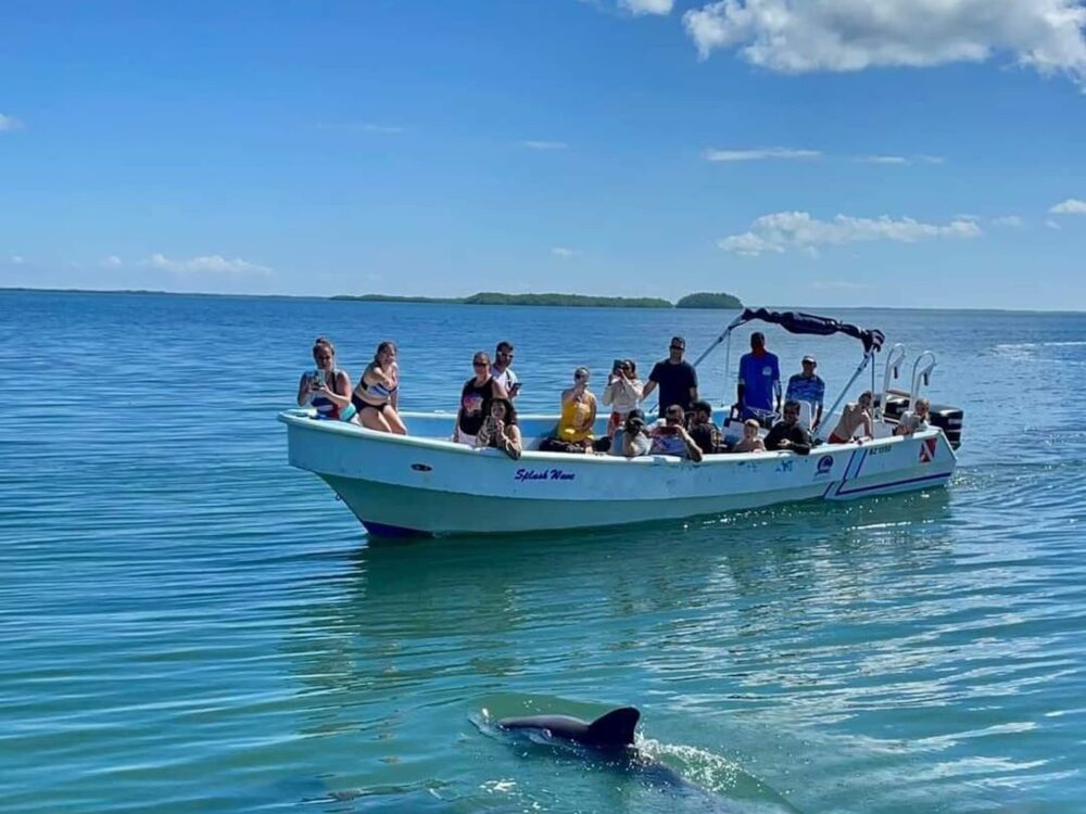 Aventura privada de día completo | Yate sedán de 38 pies en Belice - Image 5